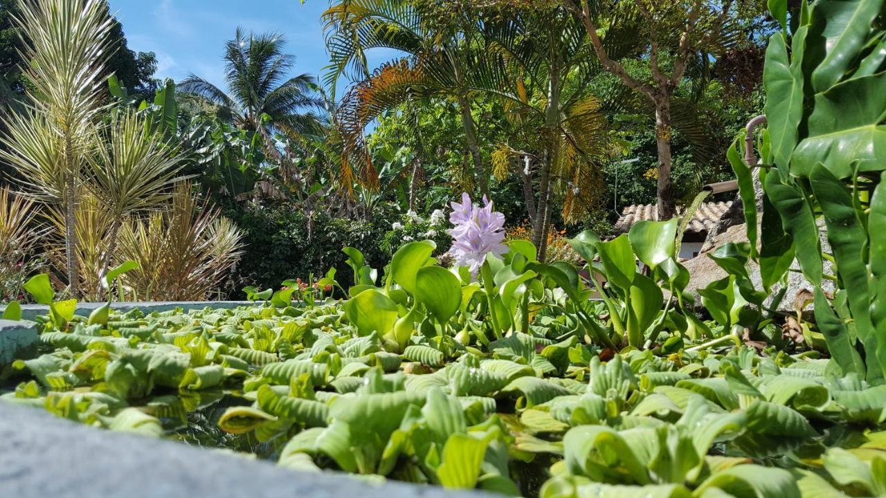 Pousada Tubarao Porto Seguro Esterno foto